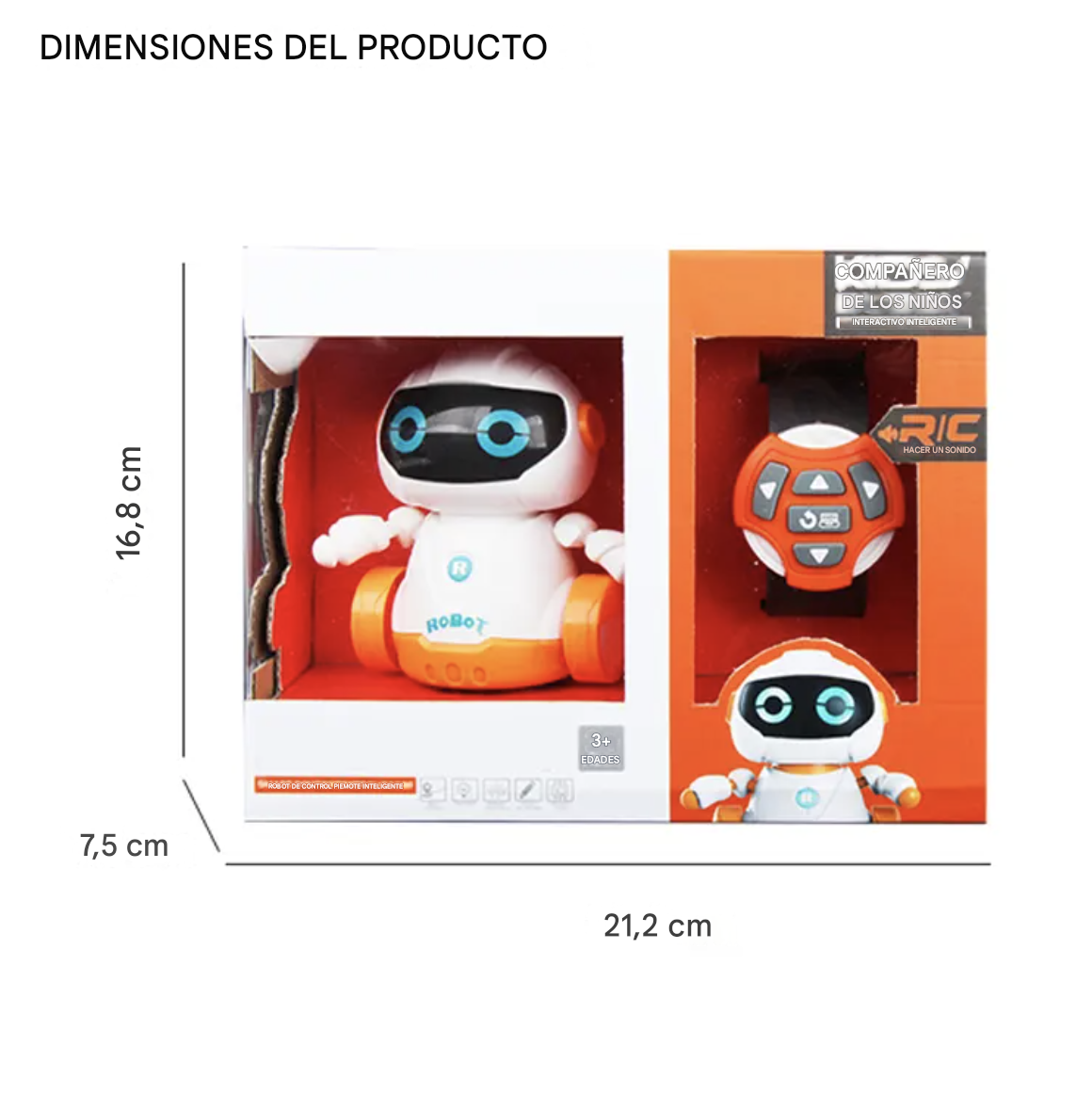 Robot R de Control por Reloj