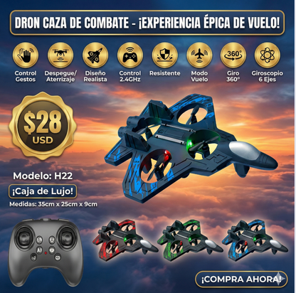 Avion dron