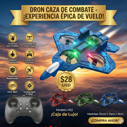 Avion dron